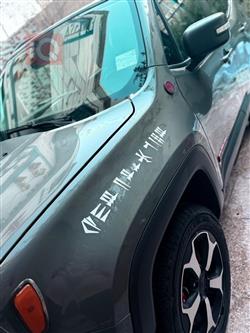 جيب رينيجيد